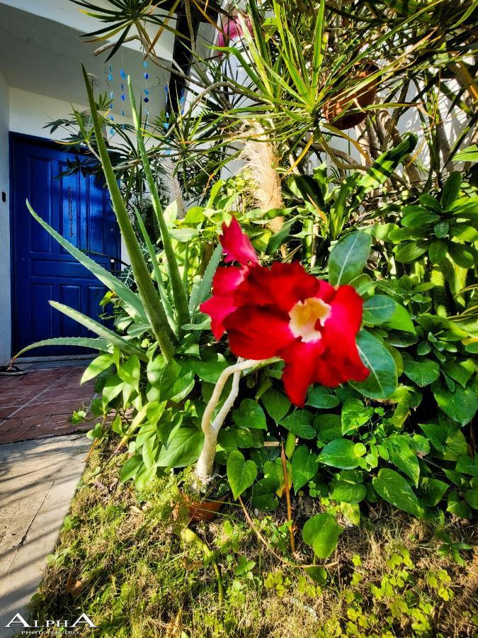 Tu Casa En El Caribe Διαμέρισμα Κανκούν Εξωτερικό φωτογραφία